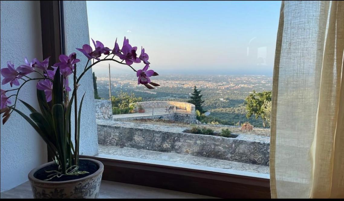 Belvedere Di Puglia Casa *